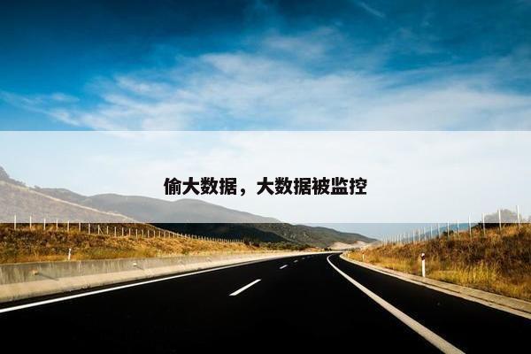 偷大数据，大数据被监控