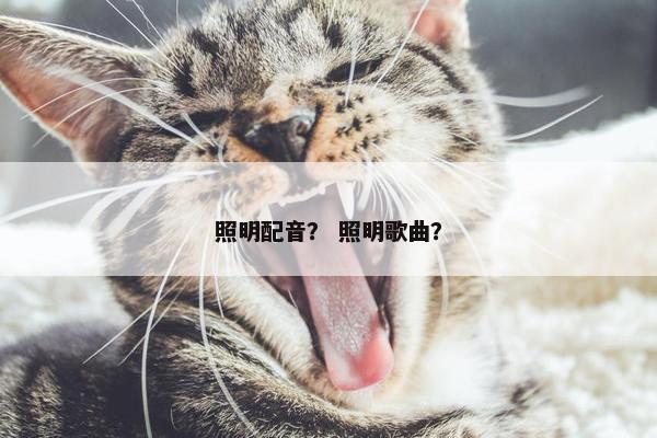照明配音？ 照明歌曲？