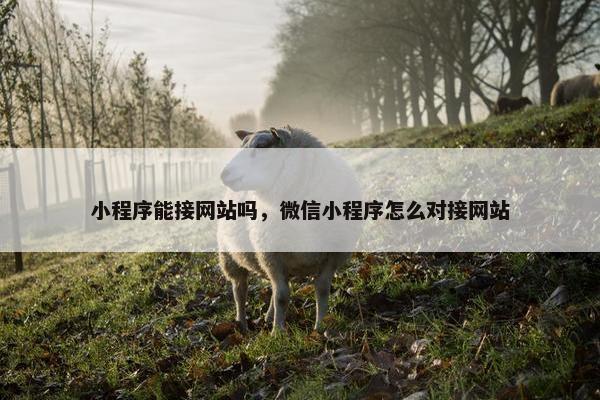 小程序能接网站吗，微信小程序怎么对接网站