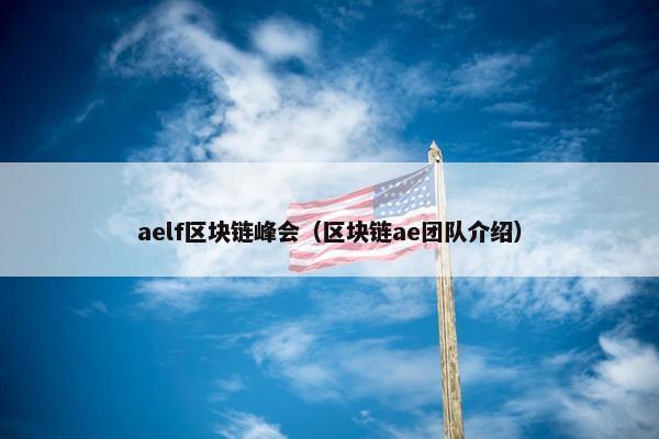 aelf区块链峰会（区块链ae团队介绍）