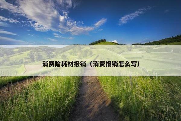 消费险耗材报销（消费报销怎么写）