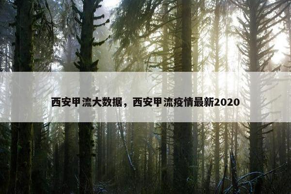 西安甲流大数据，西安甲流疫情最新2020