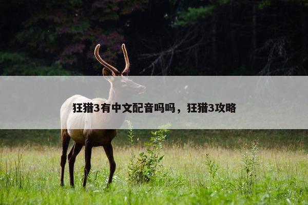 狂猎3有中文配音吗吗，狂猎3攻略