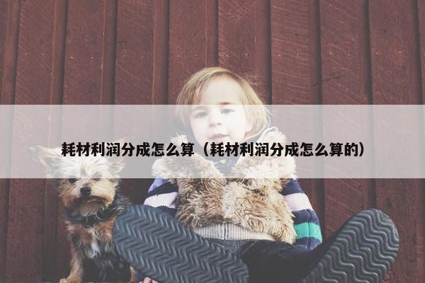 耗材利润分成怎么算（耗材利润分成怎么算的）