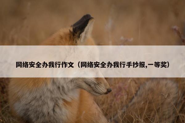 网络安全办我行作文（网络安全办我行手抄报,一等奖）