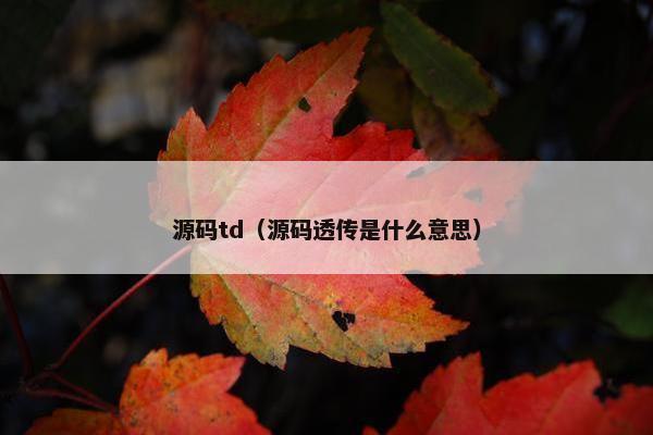 源码td（源码透传是什么意思）