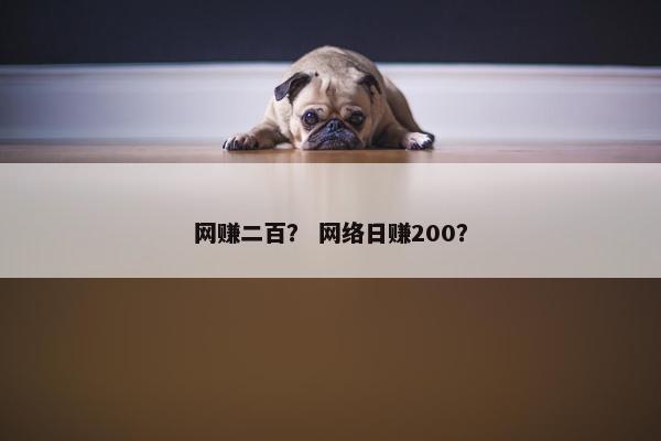 网赚二百？ 网络日赚200？