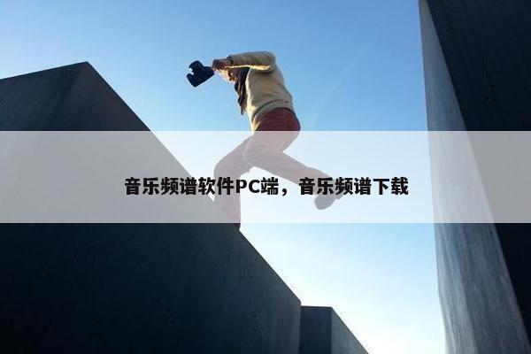 音乐频谱软件PC端，音乐频谱下载