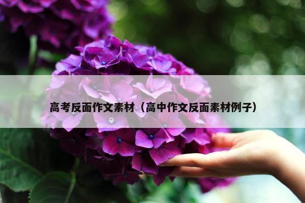 高考反面作文素材（高中作文反面素材例子）
