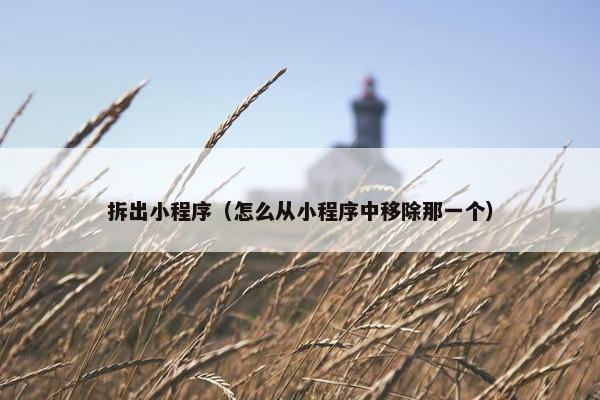 拆出小程序（怎么从小程序中移除那一个）