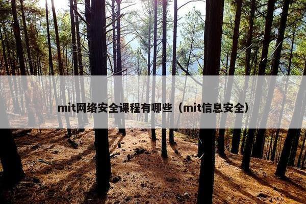 mit网络安全课程有哪些（mit信息安全）
