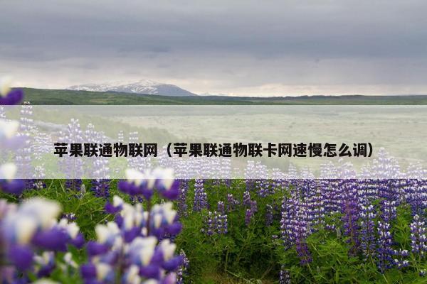苹果联通物联网（苹果联通物联卡网速慢怎么调）