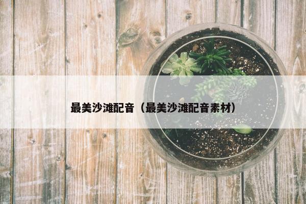 最美沙滩配音（最美沙滩配音素材）