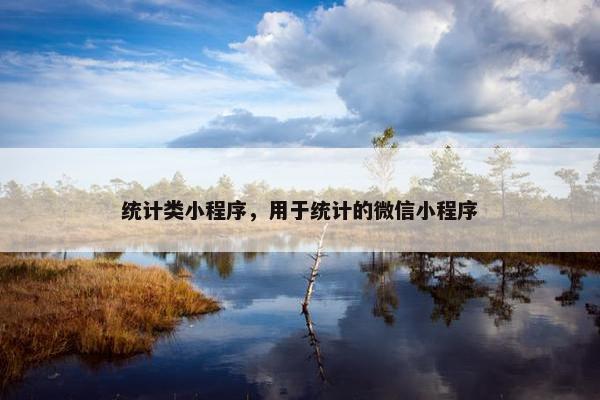 统计类小程序，用于统计的微信小程序