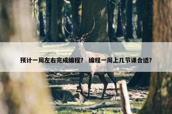 预计一周左右完成编程？ 编程一周上几节课合适？