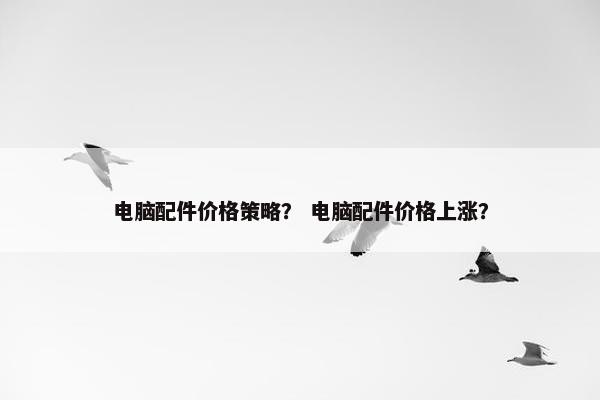 电脑配件价格策略？ 电脑配件价格上涨？