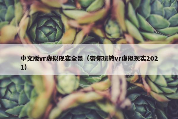中文版vr虚拟现实全景（带你玩转vr虚拟现实2021）