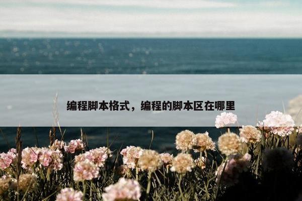 编程脚本格式，编程的脚本区在哪里