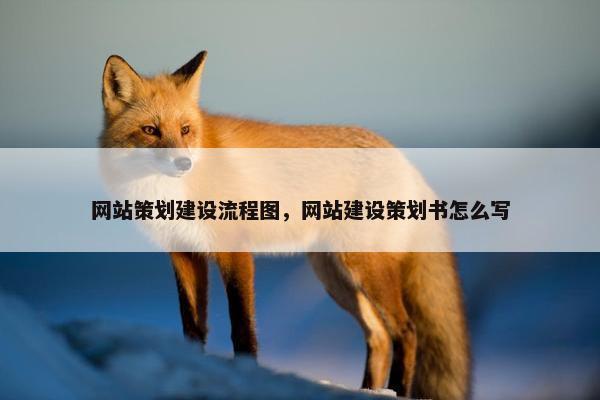 网站策划建设流程图，网站建设策划书怎么写