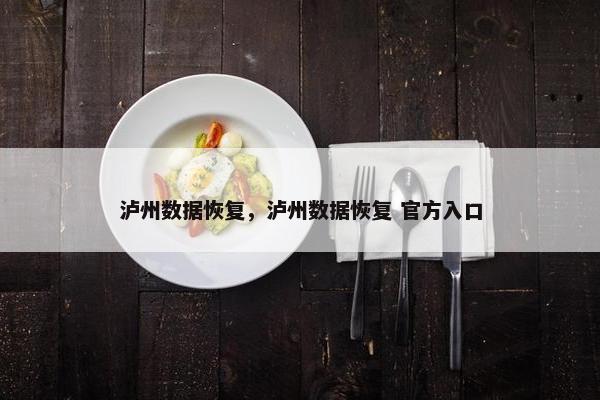泸州数据恢复，泸州数据恢复 官方入口