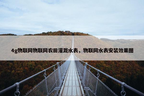 4g物联网物联网农田灌溉水表，物联网水表安装效果图