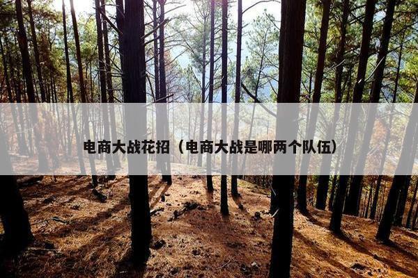 电商大战花招（电商大战是哪两个队伍）