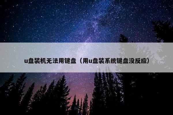 u盘装机无法用键盘（用u盘装系统键盘没反应）