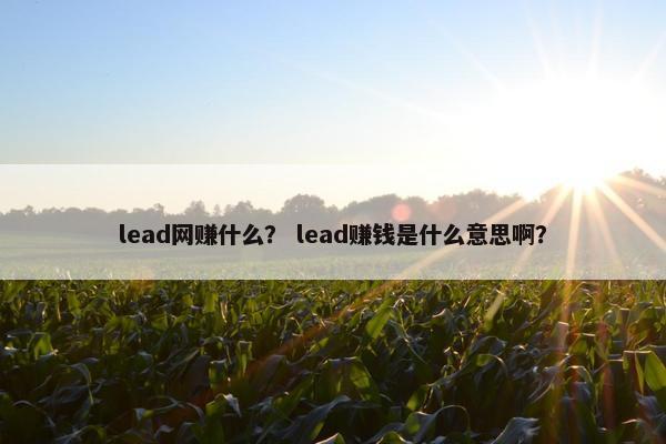 lead网赚什么？ lead赚钱是什么意思啊？