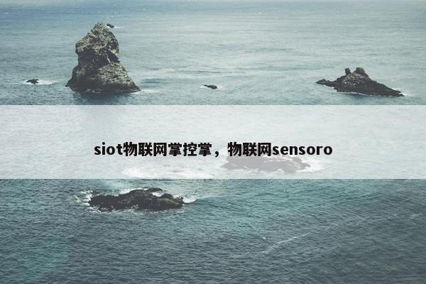 siot物联网掌控掌，物联网sensoro