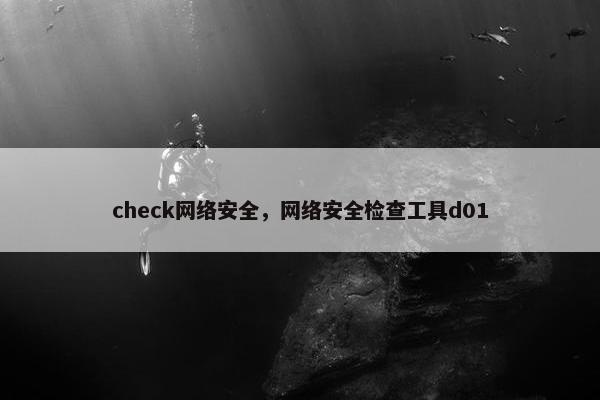 check网络安全，网络安全检查工具d01