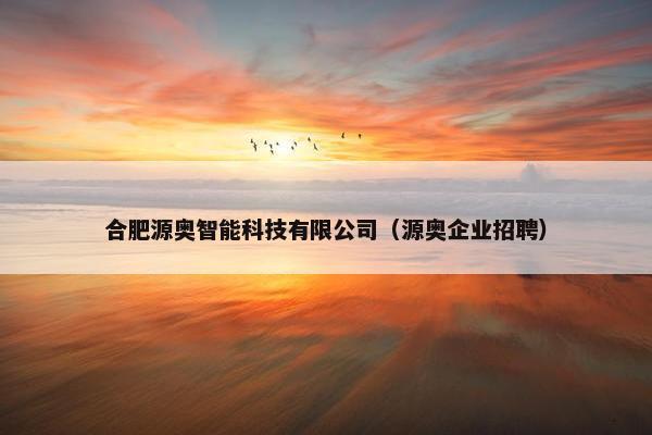 合肥源奥智能科技有限公司（源奥企业招聘）