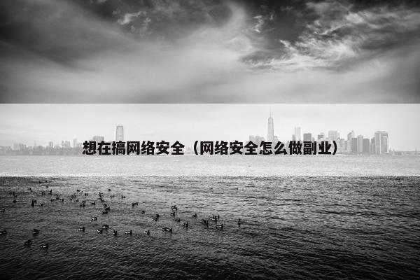 想在搞网络安全（网络安全怎么做副业）