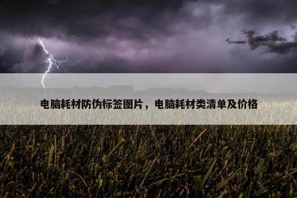 电脑耗材防伪标签图片，电脑耗材类清单及价格