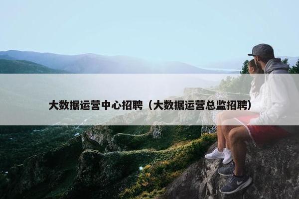 大数据运营中心招聘（大数据运营总监招聘）