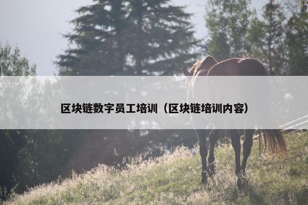 区块链数字员工培训（区块链培训内容）