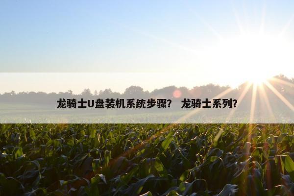 龙骑士U盘装机系统步骤？ 龙骑士系列？