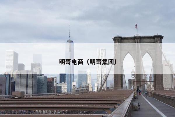 明哥电商（明哥集团）