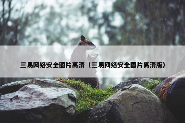 三易网络安全图片高清（三易网络安全图片高清版）