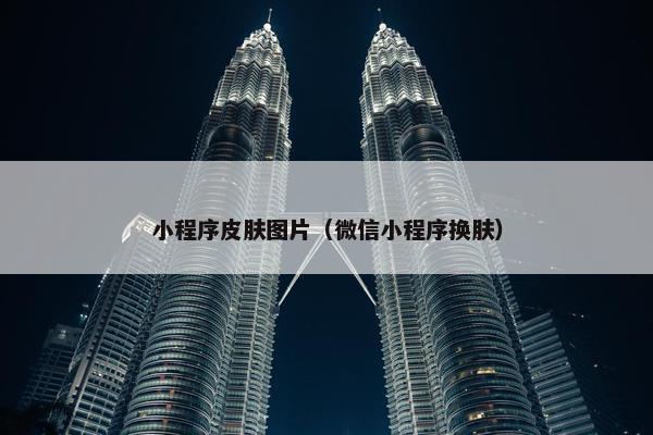 小程序皮肤图片（微信小程序换肤）