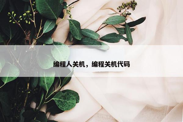 编程人关机，编程关机代码