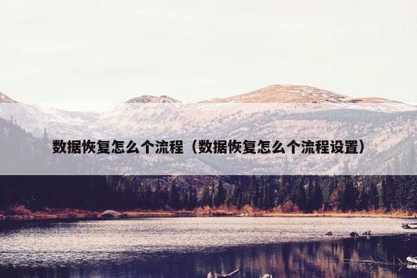 数据恢复怎么个流程（数据恢复怎么个流程设置）