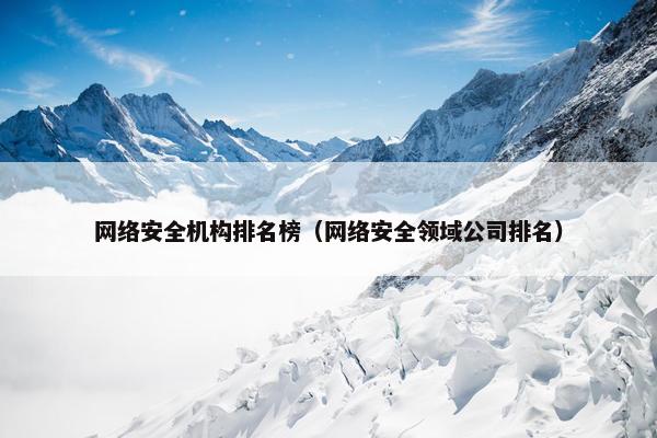 网络安全机构排名榜（网络安全领域公司排名）