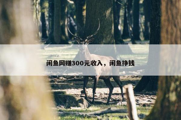闲鱼网赚300元收入，闲鱼挣钱