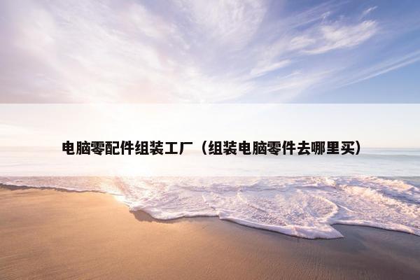 电脑零配件组装工厂（组装电脑零件去哪里买）