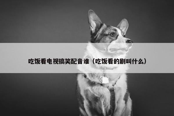 吃饭看电视搞笑配音谁（吃饭看的剧叫什么）