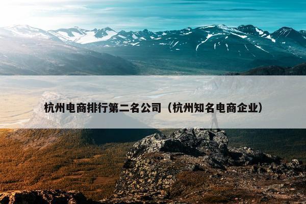 杭州电商排行第二名公司（杭州知名电商企业）