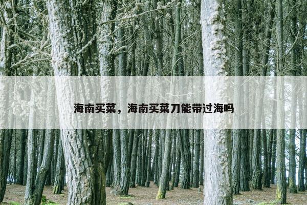 海南买菜，海南买菜刀能带过海吗