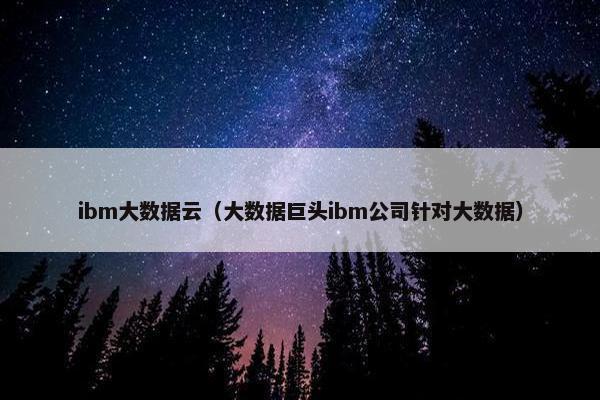 ibm大数据云（大数据巨头ibm公司针对大数据）