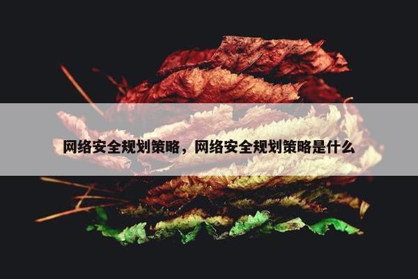 网络安全规划策略，网络安全规划策略是什么