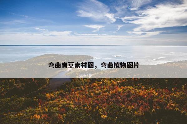 弯曲青草素材图，弯曲植物图片